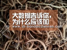 大数据告诉你，为什么应该加盟大众串串香-半岛真人