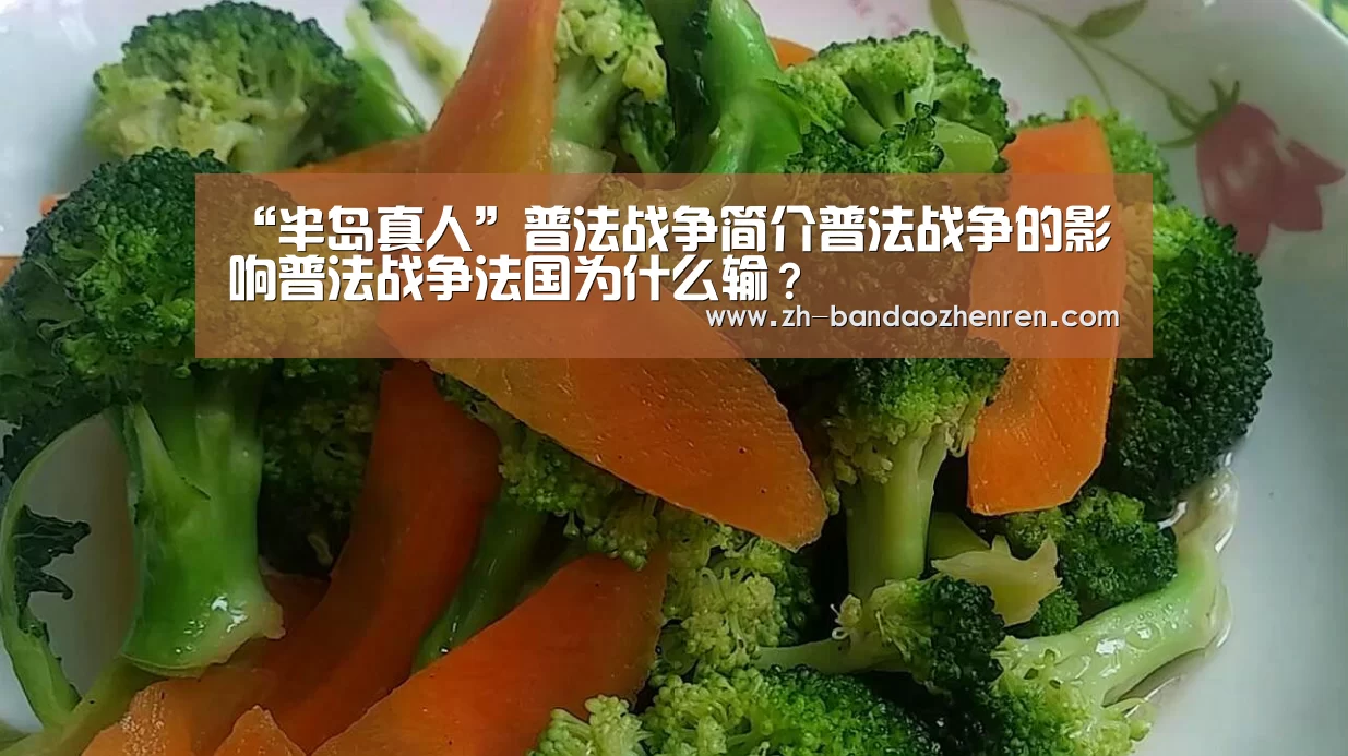 “半岛真人”普法战争简介普法战争的影响普法战争法国为什么输？