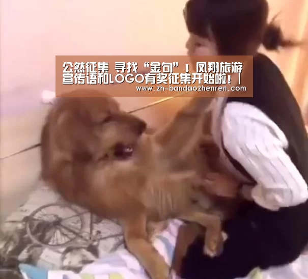 公然征集 寻找“金句”!凤翔旅游宣传语和LOGO有奖征集开始啦!|半岛真人(图2) 半岛真人
