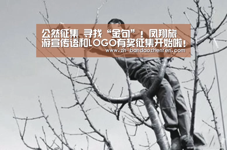 公然征集 寻找“金句”!凤翔旅游宣传语和LOGO有奖征集开始啦!|半岛真人(图5) 半岛真人