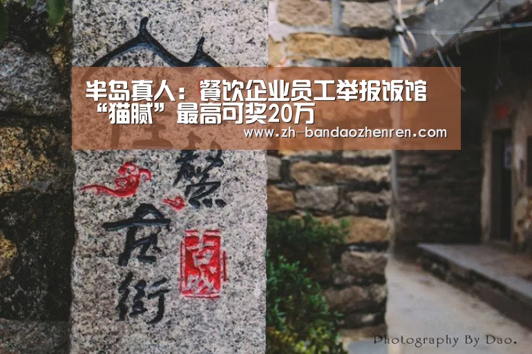 半岛真人