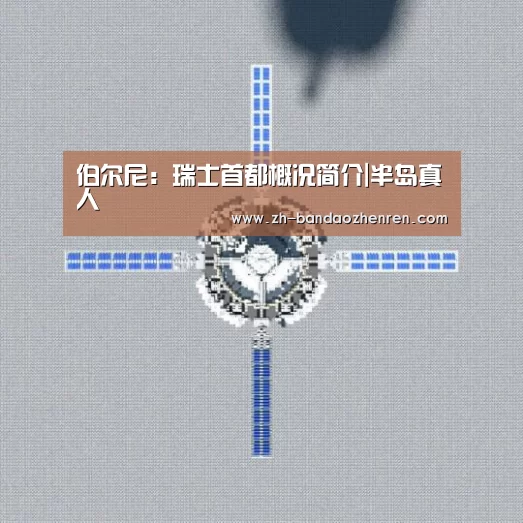 半岛真人