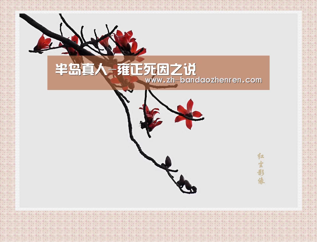 半岛真人